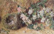 William Henry Hunt,OWS Chaffinch Nest and  May Blossom (mk46) oil painting picture wholesale